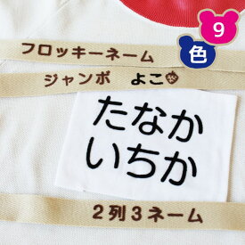 フロッキーネーム ジャンボサイズ横書き 2列3ネーム 送料無料 9色 3枚選べる お名前フロッキー アイロンシール アイロン転写 名前シール おなまえシール 靴下 靴下ネーム 幼稚園 小学校 入園 入学 洗濯 アイロン 名前付け 介護 only ＠