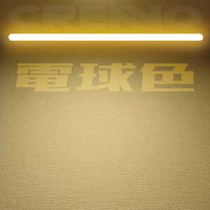 RpNguLED FML13E18W^Ή d6W dF/F GX10q