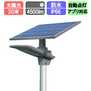 \[[O \[[ X lZT[ 30w zLED \[[Cg \[[[d Ԏ_ Fi|[ʔj