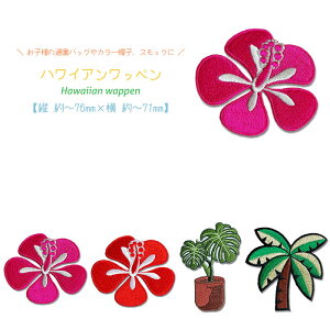 ǂł5ȏŒǐՉ\[֑IACŊȒP\tybyszby nCA nCrXJX  Xe V̖ nC Hawaii An ALOHA nCAG