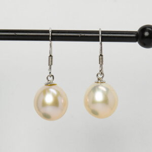 p[ tbNsAX 嗱W^ ^ 10mm Vo[925 WvV[ SV925  [hu]