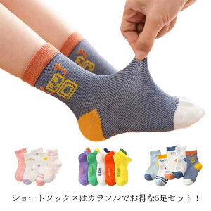 q V[g\bNX ̎q C  AN\bNX qp xr[ j̎q ʉ ۈ牀 ct j ʊw t X|[c 킢 ʋC 5Zbg v[g XN[