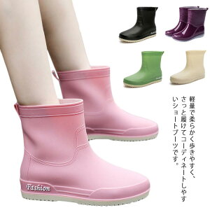 Cu[c h ~h fB[X C ~J V[g ~J΍   CV[Y n C J̓ ~ JC J ʋ y V[gu[c