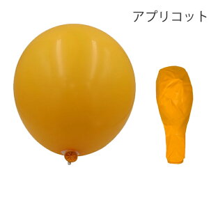 18C` SD 45cm F10 o[ 傫 wEKXΉ D }bg  a j z[p[eB[ fBXvC Cxg̏ p[eB[ObY NX}X xr