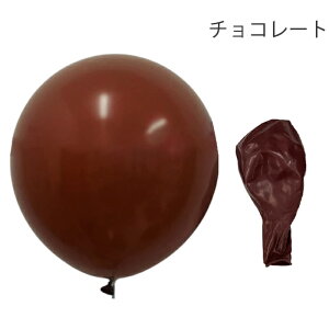 18C` SD 45cm F10 o[ 傫 wEKXΉ D }bg  a j z[p[eB[ fBXvC Cxg̏ p[eB[ObY NX}X xr