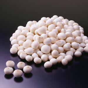 �y�퉷�z8552 �Ɩ��p �����n 500g �������܁y3980�~�ȏ㑗�������z