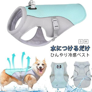 ڐG⊴ MǑ΍ EȒP N[ Ђ ^p EFA ybg hbOEGA  ΍ N[EGA ⊴N[  ^ ^ xXg N[xXg ʋC N[xXg 