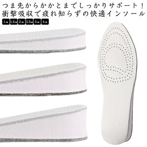 C\[ ~ S~C\[ gAbv Y fB[X jp Ռz NbV ɂ ʋC z EH[LO X|[c Xj[J[p 1cm/1.5cm/2cm/2.5cm/3cm/4cm d