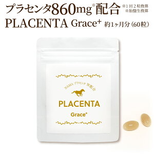 y|bL1000~zvZ^ PLACENTA Grace{ O[XvX 60i1j؃vZ^ƔnvZ^ґɃ_uzIIvZ^Tv Tvg ؃vZ^ nv