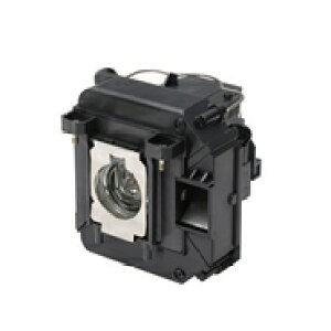 (A) Gv\ ELPLP64 yvWFN^vz