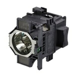 (A) Gv\ ELPLP81 yvWFN^vz