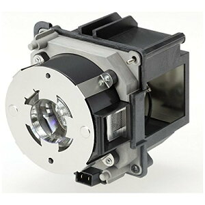 (A) Gv\ ELPLP93 yvWFN^vz