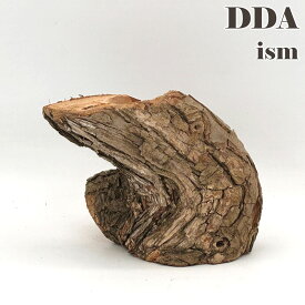 【DDA】newクラフトウッド(M) 2311101153 dda クワガタ カブトムシ 止まり木 登り木