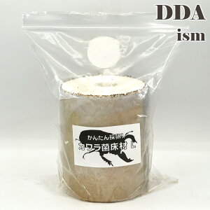 タランドゥスオオツヤ 1♀54個採卵!【DDA】カワラ菌床材L 加水,下処理不要 dda クワガタ 産卵木 カワラ材 カワラ菌糸