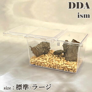 yDDAzNA[XC_[ W/[W dda NK^ JugV  P[X