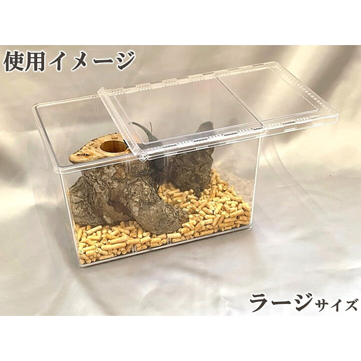 楽天市場】【DDA】クリアースライダー 標準/ラージ dda クワガタ 