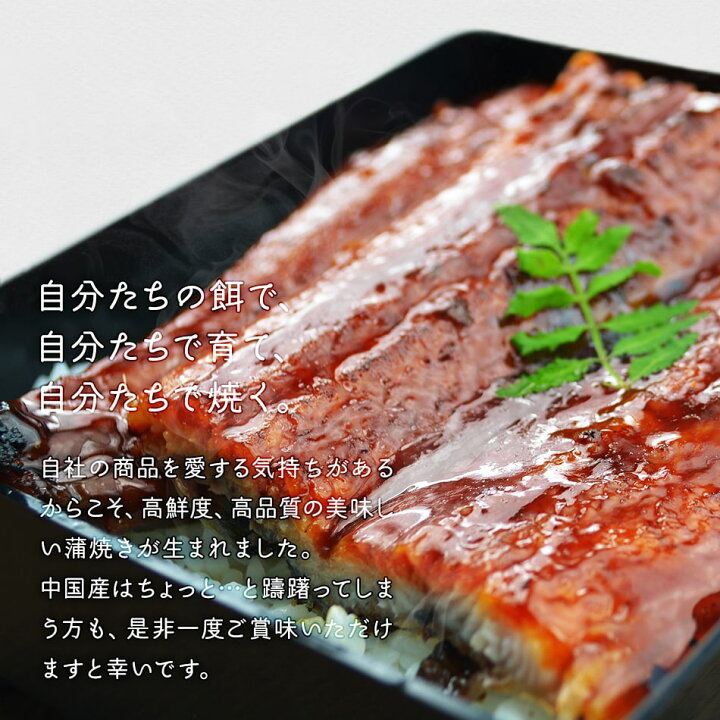 楽天市場 冷凍便送料無料 お年賀ギフト 冬ギフト レンジでチンする特大有頭うなぎの蒲焼き 1尾 300g以上 中国産 同一配送先に2セット以上で特典付き 北海道 沖縄 離島のみ別途送料必要 出島屋 お歳暮 御歳暮 ギフト プレゼント グルメ お取り寄せ おつまみ おかず 楽天市場 冷凍便送料無料 お年賀ギフト 冬ギフト レンジでチンする特大有頭うなぎの蒲焼き 1尾 300g以上 中国産 同一配送先に2セット以上で特典付き 北海道 沖縄 離島のみ別途送料必要 出島屋 お歳暮 御歳暮 ギフト プレゼント グルメ お取り寄せ おつまみ おかず