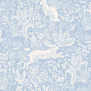 10cmPʁE50cm̔̔@yRbgAhXeB[zcotton+steel(RbgAhXeB[) ChEbh@Cty[p[ łɊ