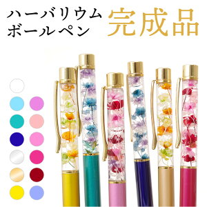 n[oE{[y i  n[oEy i n[oE {[y y  j  킢 v[g  Mtg av[g a  