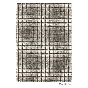 ���O ���O�}�b�g �O�~ �h�� ���{�� �J�[�y�b�g ��200×250cm ���_�� �i�q�� ���[�v�p�C�� �E�[���� ���{�� Prevell �v���[�x�� �Z���� �A�C�{���[ �u���b�N �����z�� �V����