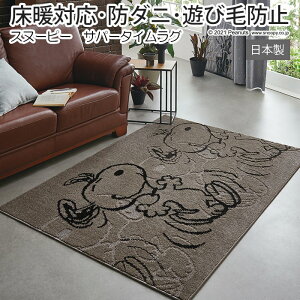 LN^[ Xk[s[ fUC O }bg h_j g[Ή Vітoɂ { 130×185cm s[ibc Tp[^CO (S) z V ubNtCf[