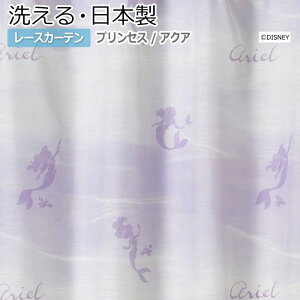 fUC [XJ[e 􂦂 DISNEY fBYj[ vZX AG TCY 100×133cm M-1175 ANA (S) z V