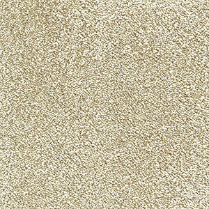 ϋvɗDꂽJ[ybg iC100% xM[ 200×200cm I[_[J[ybg t[Jbg Wall to WallJ[ybg AXu[X2(A) z V