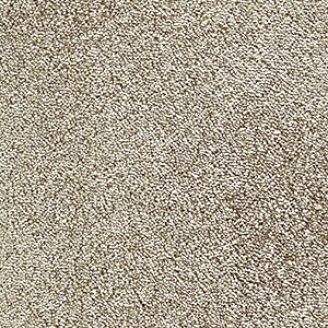 ϋvɗDꂽJ[ybg iC100% xM[ ԎO 3 3 182×273cm I[_[J[ybg t[Jbg Wall to WallJ[ybg AXu[X2(A) z V }\
