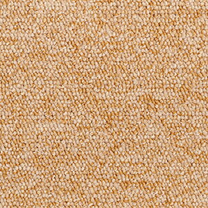 ���@�\�J�[�y�b�g ����ɂ��� ���{�� ��200×250cm �I�[�_�[�J�[�y�b�g �t���[�J�b�g Wall to Wall�J�[�y�b�g �A�X�V�����I2(A) �����z�� �V����