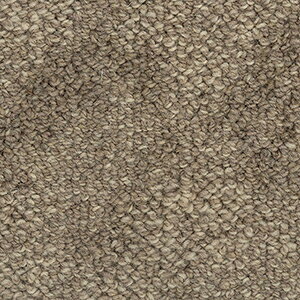 E[J[ybg V100% { Ԓl 4 4.5 4.5 210×364cm I[_[J[ybg t[Jbg Wall to WallJ[ybg N\[(A) z V