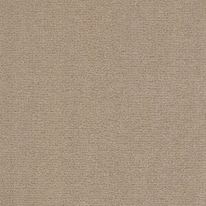 E[J[ybg V100% { ]ˊԘZ 6 6 261×352cm I[_[J[ybg t[Jbg Wall to WallJ[ybg j[E[|bV[(A) z V ubNtCf[