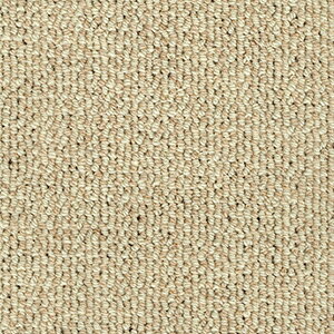 E[J[ybg V100% { {Ԓl 4 4.5 4.5 220×382cm I[_[J[ybg t[Jbg Wall to WallJ[ybg AXV[Y(A) z V