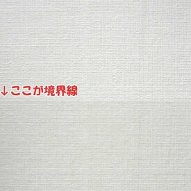 壁紙 キズ 汚れ 保護 シート 黒ずみ 黒ずみ防止 ウォールステッカー 壁紙保護シート 家具保護シート カベ 壁落書き防止 傷防止 はがせる シール 貼るだけ 簡単 キズ防止 汚れ防止 シール 賃貸 傷 保護シート 46cm×20m 半透明 テレビ 冷蔵庫 静電気 水滴