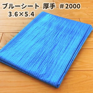 u[V[g #2000 3.6×5.4  2000 3.6m 5.4m 3600mm 5400mm 10 F TCY J[ Ki V[g {V[g yʃV[g hV[g W[V[g Ԍ o[xL[ ĝ rj[V[g