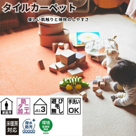 ラグマット ラグ 洗える 40×40 カーペット 北欧 洗濯可 安い 防音 厚手 正方形 夏 夏用 おしゃれ 春夏 クッション 極厚 あったか ふかふか もちもち オールシーズン ウォッシャブル 子供部屋 一人暮らし タイルカーペット 難燃 床暖房 タイル ジョイントマット ペット