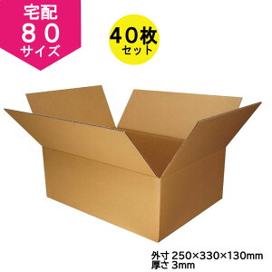 y{z_{[ 80TCY 40Zbg /z/z//[// dB2-40