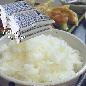 Y Ɩp HpEp 40kg/60kg  ,Aꕔn摗ΏۊO