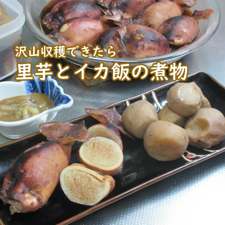 千葉県産 たぐり 石川早生 里芋 種芋 Sサイズ 20kg