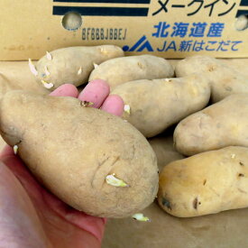 メークイン 馬鈴薯 春作種芋1kg