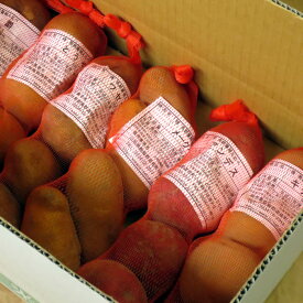 春作馬鈴薯種芋植え比べセット3kg 500g×6品種　男爵 メークイン ワセシロ とうや キタアカリ アンデス