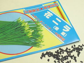 にら春蒔き種子 中国野菜 花ニラ 3mL小袋詰