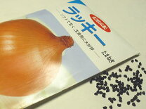 楽天市場】ラッキー 種 玉ねぎの通販