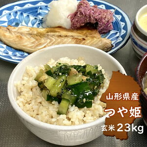 7NxR`YP23kg  ꓙ