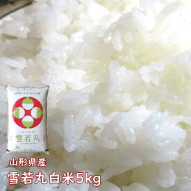 7年度山形県産 雪若丸5kg 白米
