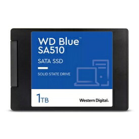 Western Digital WD Blue SA510 WDS100T3B0A (1TB)