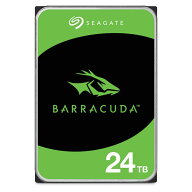 Seagate BarraCuda ST24000DM001 (24TB)
