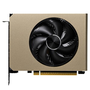 MSI GeForce RTX 5060 8G INSPIRE ITX OC (GeForce RTX 5060 8GB)