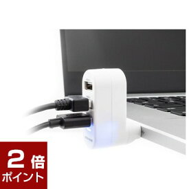 【ポイント2倍★4月27日9時59分まで】グリーンハウス 回転USBハブ 3ポート / USB2.0 GH-HB2A3A-BK ブラック