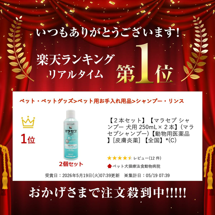 楽天市場】【2本セット】【マラセブ シャンプー 犬用 250mL×2本 楽天市場】【2本セット】【マラセブ シャンプー 犬用 250mL×2本