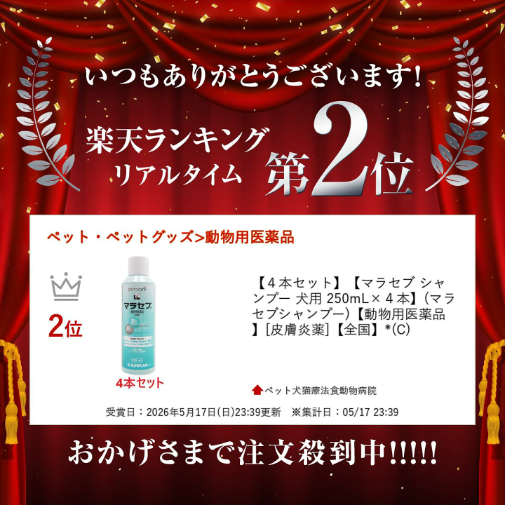 楽天市場】【4本セット】【マラセブ シャンプー 犬用 250mL×4本